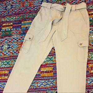 Express High Waisted Cargo Pant Size 6R